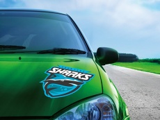 Adesivos (mídias coloridas)