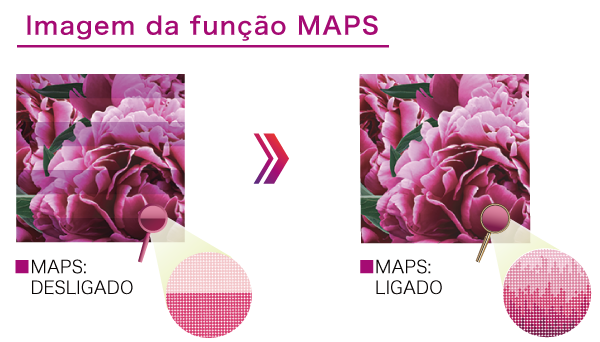 Imagem da função MAPS